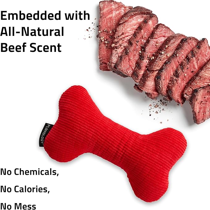 Playology Dog Toys | Plush Squeaky Bone Chew Toy for Dogs | Jumbo Beef Scented Toy - Easy to Clean and Made from Non Toxic Materials
