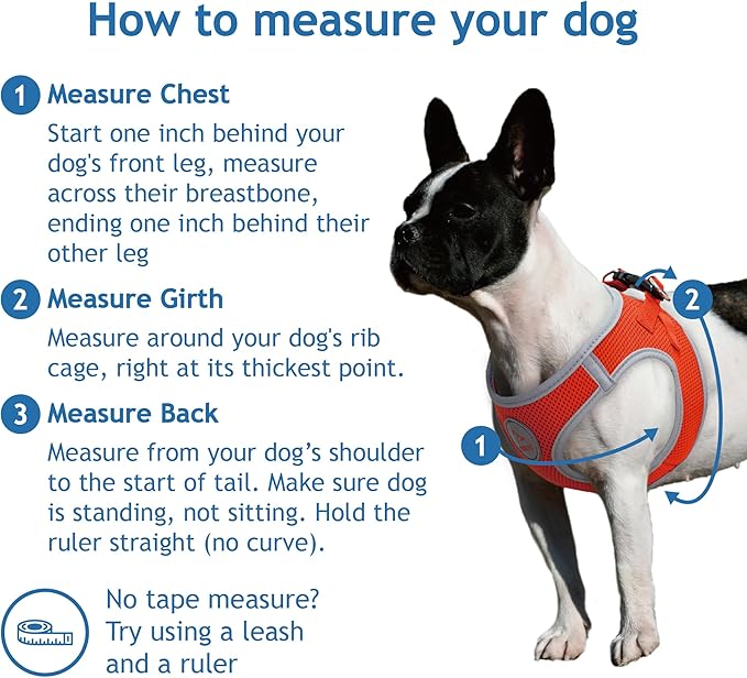 DOCO Dog Harness (Chest 14.5"-15.5", Weight 6–10 lbs) Athletica Adjustable Heavy Duty No Choke Puppy Vest for Small Dogs Lightweight Air Mesh, Reflective, Puppy Essentials – Gray, Small