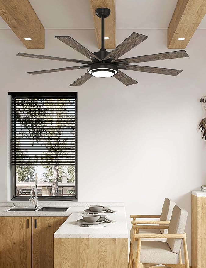 warmiplanet 62 Inch Indoor Ceiling Fans with Lights, 6 Speeds Slient Reversible DC Motor, 3 Color Dimmable LED Light, Timer, Black, 8 Blades