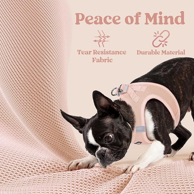 rabbitgoo Small Dog Harness, Step-in Soft Mesh Puppy Vest with Safety Buckle, Breathable Reflective Pet Harness for Extra Small Dogs, Pink XXS