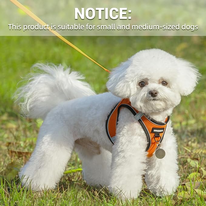 Dog Harness and Leash Set, Dog Harness for Dogs No Pull, No-Chock Step-in Reflective Breathable Lightweight Easy Walk Vest Harnesses with Safety Buckle for Small Medium Dogs, Cats (Orange, L)