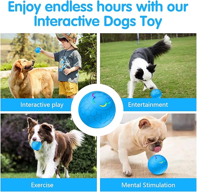Interactive Dog Ball - 2.2" Durable Motion Activated Pet Bounce Ball for Puppy/Small/Medium Dogs, USB Rechargeable