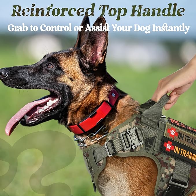 rabbitgoo Tactical Dog Harness for Small, Heavy Duty Pet Harness with Handle, No-Pull Service Vest Small Breed, Adjustable Military Dog Vest for Training Hunting Walking, Green Camo, S