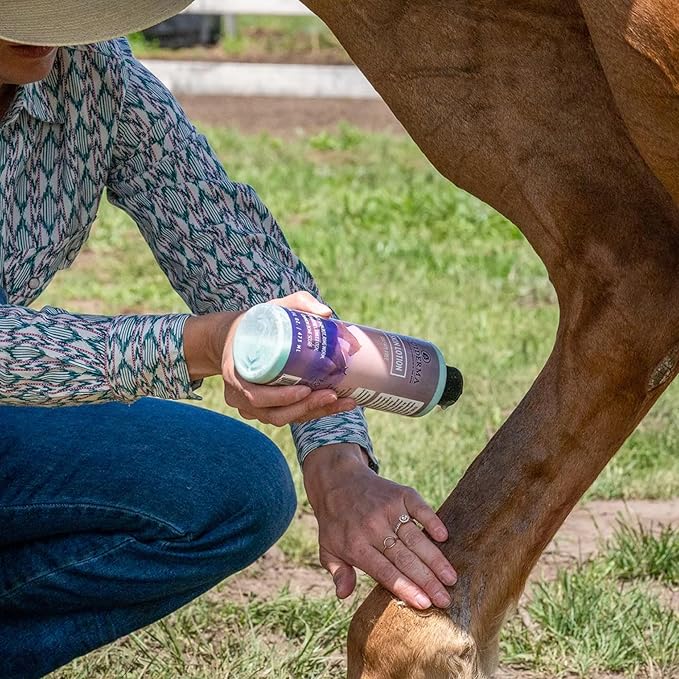 EQUIDERMA (2 Pack) Horse Skin Lotion with 10‑Count Pet Faves Pet Wipes – Gentle Soothing Relief for Cannon Bone, Mane & Tail Irritation, Dry Skin & Scabs