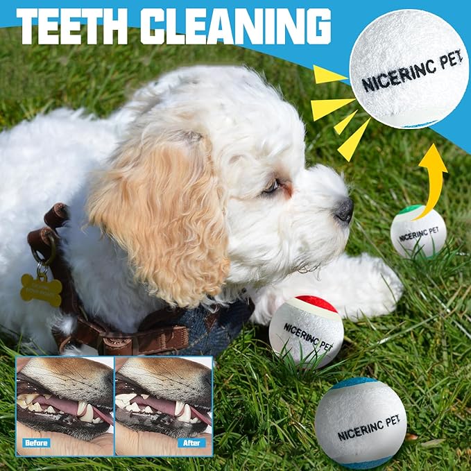 X-Small Dog Tennis Balls Dog Toys Ball 1.72" Pack of 12, Fit Ball Launchers