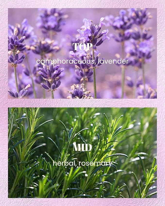 M&SENSE Lavender Rosemary Scented Candles, Vegan Soy Candles, Heavy Scented, 10oz 42-Hour Slow Burning Time, Toxic Free Fall Winter Bathtub Aromatherapy Relaxing Spa, Fancy Gift for Home Decor