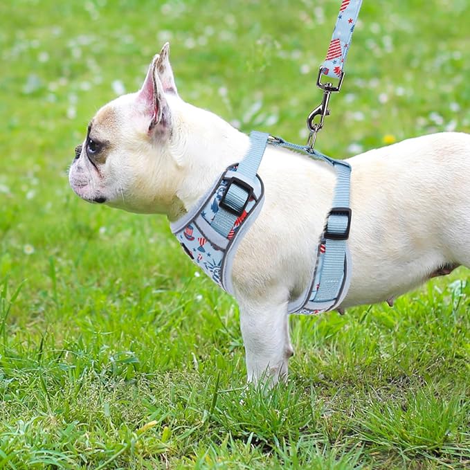 PUPTECK Small Dog Harness and Leash Set, No Pull Adjustable Puppy Cat Harness, Reflective Soft Mesh Pet Vest Small Sized