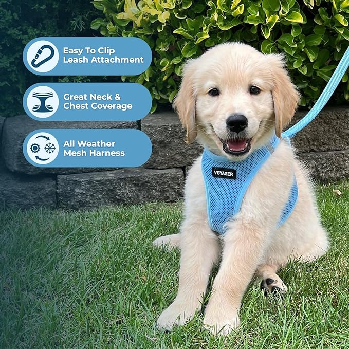 Best Pet Supplies Voyager Step-in Air Harness - All Weather Mesh, Reflective, No Pull Harness for Dogs, Cats - Secure with Hook & Loop Fastener, Buckle, Double D-Rings - Baby Blue, XL