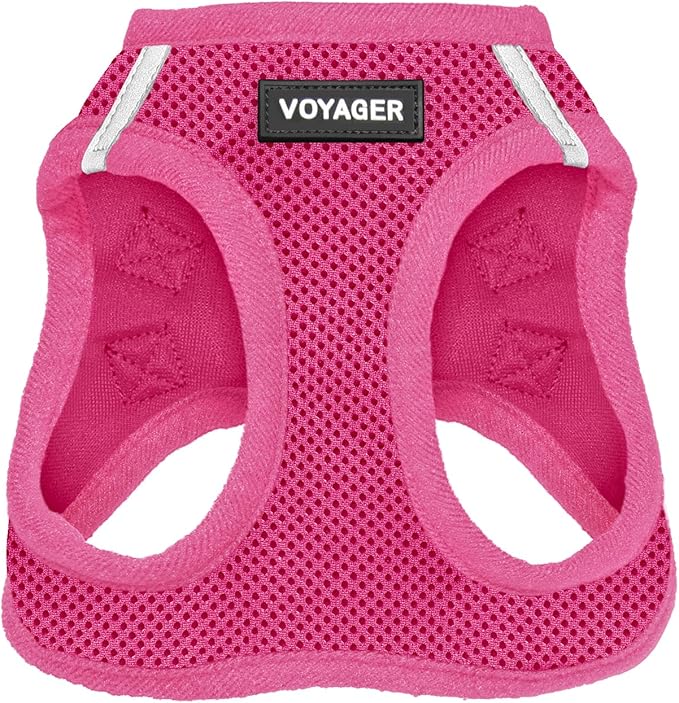 Best Pet Supplies Voyager Step-in Air Harness - All Weather Mesh, Reflective, No Pull Harness for Dogs, Cats - Secure with Hook & Loop Fastener, Buckle, Double D-Rings - Fuchsia, S