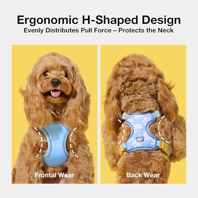 VETRESKA Dog Harness for Small Medium Dogs No Pull, Puppy Harness and Leash Set Adjustable Reflective No Choke Pet Vest Easy Control Harness for Dogs/Cats with Anti-Tangle Dog Leash, Daisy S