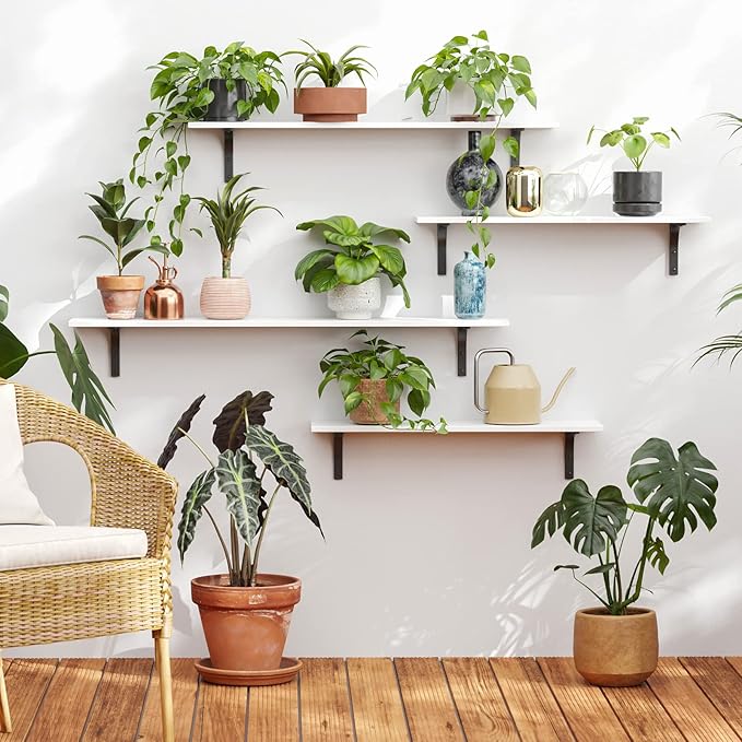 DINZI LVJ Long Wall Shelves, 23.6 Inch Wall Mounted Shelves Set of 2, Easy-to-Install, Floating Storage Ledges with Sturdy Metal Brackets for Living Room, Bathroom, Bedroom, Kitchen, White