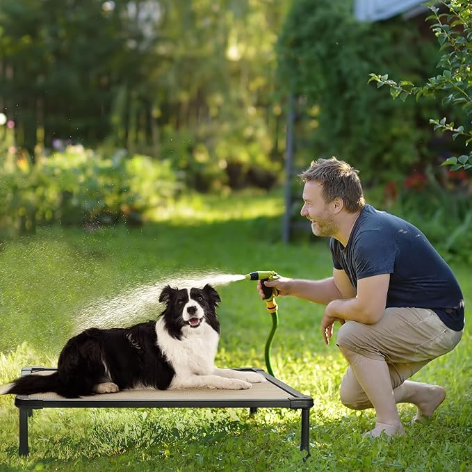 Veehoo Chewproof Elevated Dog Bed - Cooling Raised Pet Cot, Breathable Mesh, Washable & Non-Slip for Medium Dogs, Indoor/Outdoor, Beige Coffee Mat and Black Frame, 32x25inches (Model CWC2203A03)