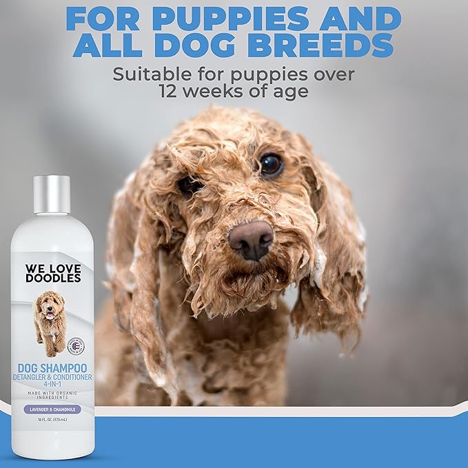 We Love Doodles Dog Conditioner & Dog Shampoo - 2-in-1 Conditioner for Allergies & Itching, Lotion Treatment for Dogs, for Matted Pet Hair, Sensitive Skin Shampoo for Puppies, Made in The USA