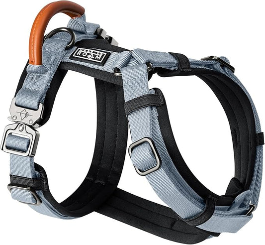 MADE TO ROAM Premium Explorer Harness - Y-Shaped Dog Harness with Adjustable Durable Nylon, Soft Padding, Metal Buckles and Leather Handle for Small, Medium, Large Dogs (Virginia Mountains, Size 3)