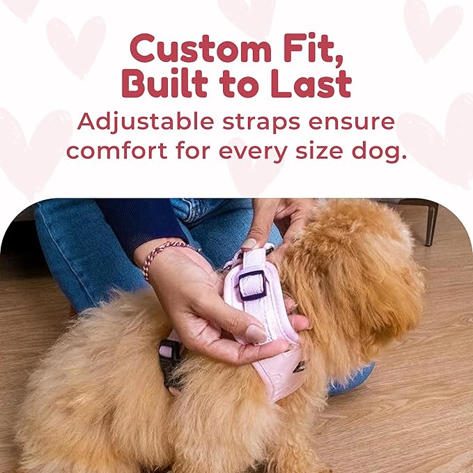 No Pull Puppy Harness and Leash Set – No Choke Neoprene Dog Harness for Extra Small Dogs (5–15lbs) Pink XS, Lightweight Breathable Mesh with Unique Heart Pattern, Adjustable Fit