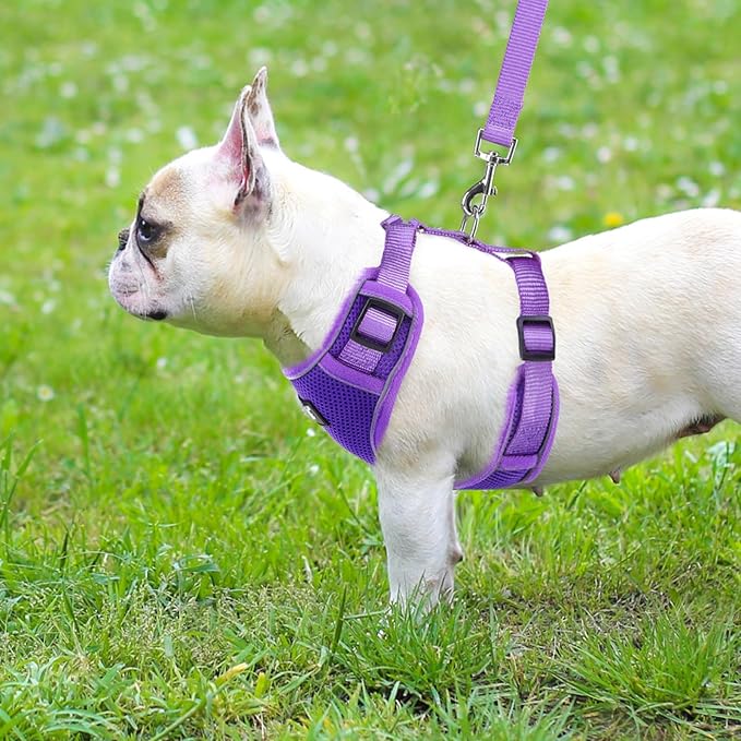 PUPTECK Small Dog Harness and Leash Set, No Pull Adjustable Puppy Cat Harness, Reflective Soft Mesh Pet Vest Small Sized