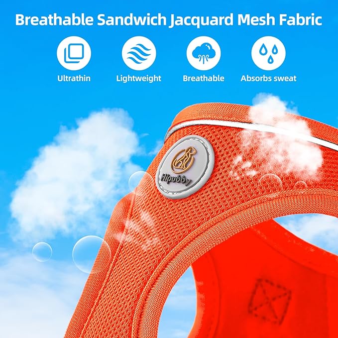 Dog Harness and Leash Set, No Pull Soft Mesh Puppy Harness for Small Medium Dogs, Cats - Step in Reflective Breathable Lightweight Vest Harness for Walking, Training - Orange, S