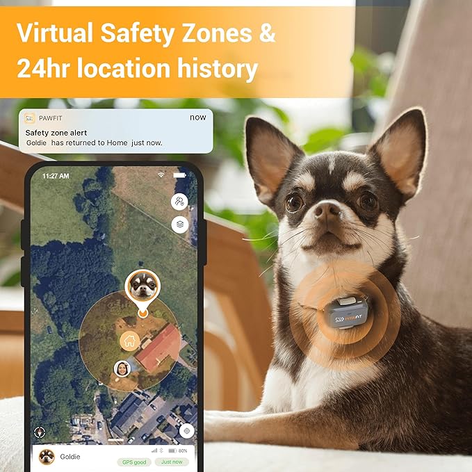 Lite for Small Dogs 4g GPS Tracker | Real Time Tracking | Activity Monitoring |Location History | Unlimited Range | Charcoal Grey