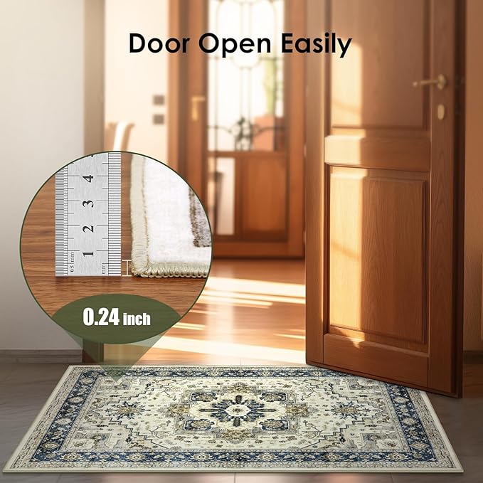 Small Rugs Door Mat 2x3 - Washable Entry Area Rugs Entrance Floor Carpet Non-Slip Door Mat Thin Rug Low-Pile Doormat for Bedroom Kitchen