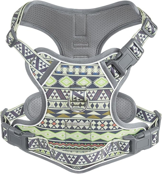 Dog Harness for X-Small Dog Breed, Light Pet Vest Harness with 2 Leash Clips and 3 Buckles, Easy to Wear, Adjustable Reflective Soft Padded, Boston Terrier, Poodles, XS