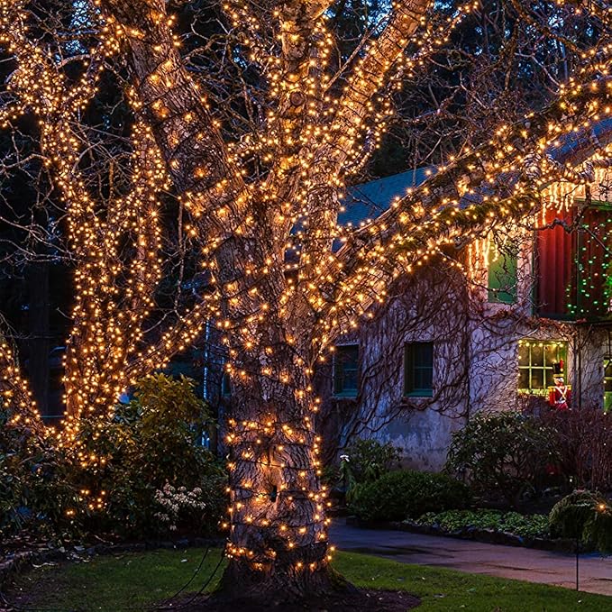 Christmas Lights 100 Count Clear Christmas Tree String Lights with White Wire for Outdoor Indoor Christmas Decorations Wedding Decorations Valentines Day Decor,UL Certified (21feet)