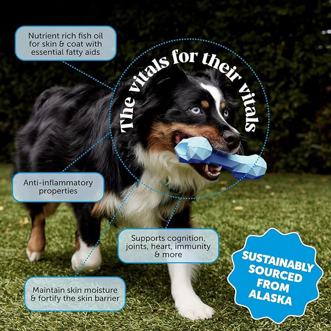 Pet Honesty Omega 3 Fish Oil Supplement for Dogs & Cats (32oz), Wild Caught Omega 3 Fish Oil for Skin and Coat Health, Supports Shedding, Skin & Coat, Immunity, Joint, Brain & Heart, EPA + DHA