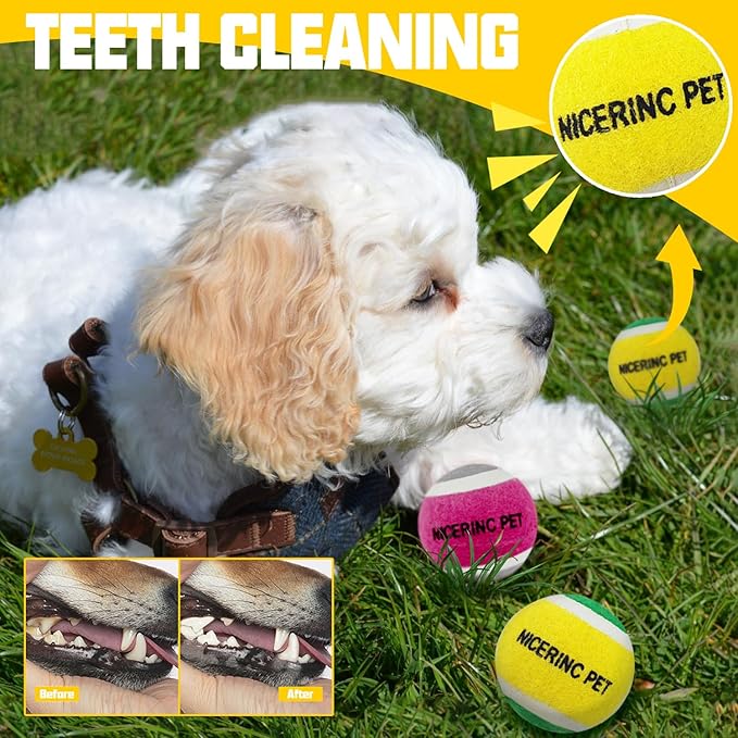 HOCTRAKA, NICERINC PET X-Small Dog Tennis Balls Dog Toys Ball 1.5" Pack of 12, Fit Ball Launchers