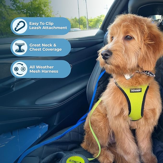 Best Pet Supplies Voyager Step-in Air Harness - All Weather Mesh, Reflective, No Pull Harness for Dogs, Cats - Secure with Hook & Loop Fastener, Buckle, Double D-Rings - Lime Green/Black Trim, M