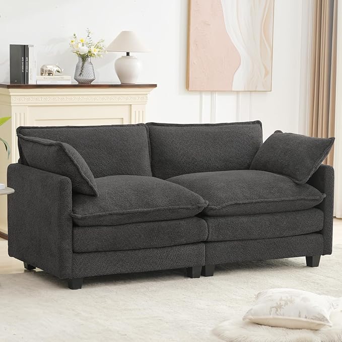 ROWHY Modular Loveseat Sectional Sofa, 78" Upholstered Loveseat, 2 Deep Seat Sofa Couch with 2 Throw Pillows for Small Space, Modern Comfy Cloud Couch for Living Room, Chenille, Charcoal Grey