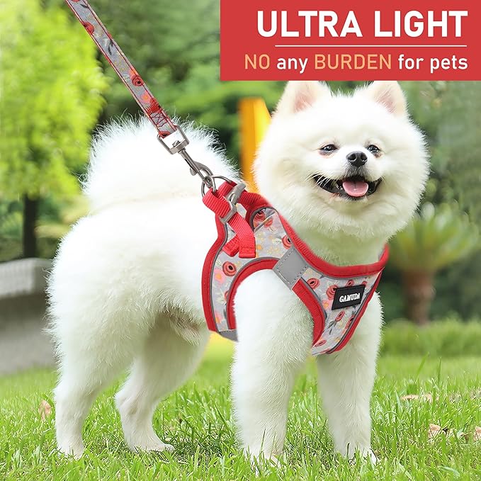 GAMUDA Small Dog Harness Collar and Leash Set, Step in No Chock No Pull Soft Mesh Adjustable Dog Vest Harnesses Plaid Reflective for Dogs Puppy Cats Kitten Rabbit (Red Flower, L)