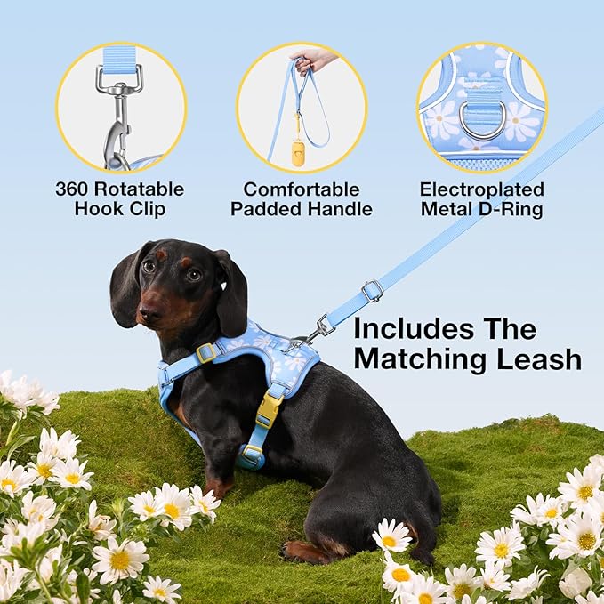 VETRESKA Dog Harness for Small Medium Dogs No Pull, Puppy Harness and Leash Set Adjustable Reflective No Choke Pet Vest Easy Control Harness for Dogs/Cats with Anti-Tangle Dog Leash, Daisy S