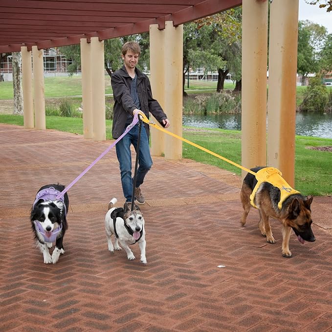 No Pull Lightweight Dog Harness: Adjustable Durable Breathable Mesh Pet Vest Harness with Soft & Comfortable Cushion, for Small Medium Large Dogs (Medium, Butter Yellow)