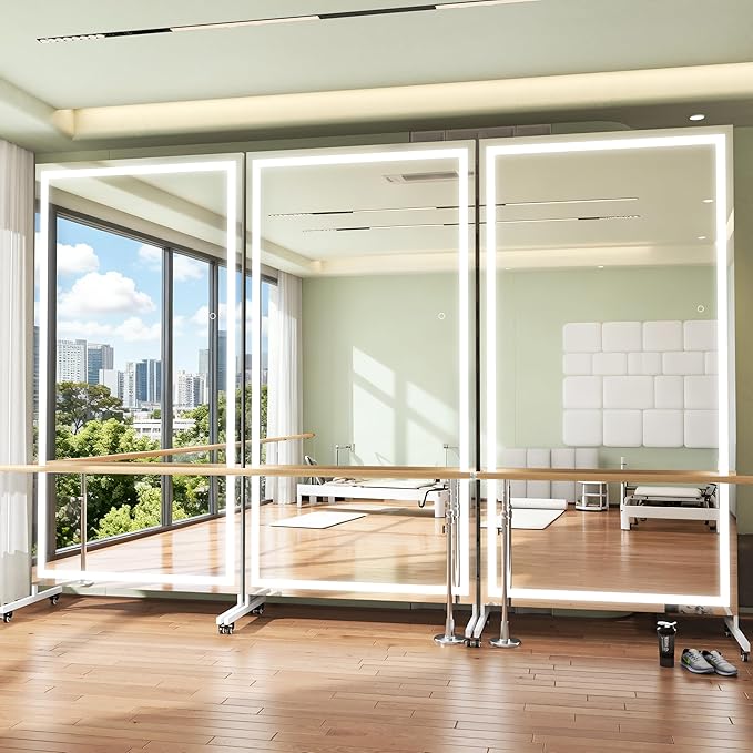 Hasipu Home Gym Mirror with Light 360° Swivel on Wheels, 65" x 22" Extra Large Full Length Rolling LED Mirror for Yoga Studio, Bedroom, Dancing Studio, White