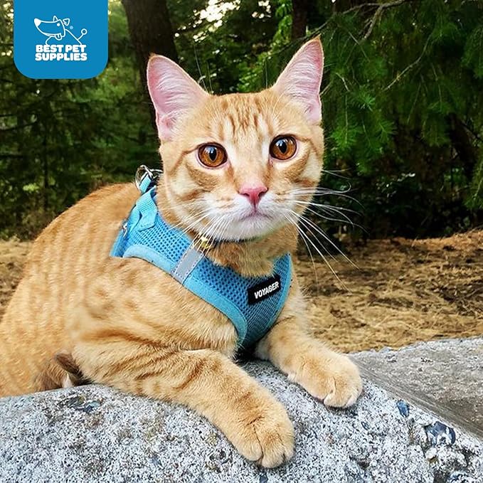 Best Pet Supplies Voyager Step-in Air Harness - All Weather Mesh, Reflective, No Pull Harness for Dogs, Cats - Secure with Hook & Loop Fastener, Buckle, Double D-Rings - Baby Blue, S