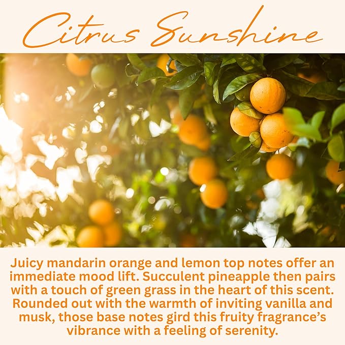 Citrus Sunshine Scented Candle, Many Scents to Choose from, All Natural Non-Toxic Soy Wax, Handmade in The USA (Citrus Sunshine)