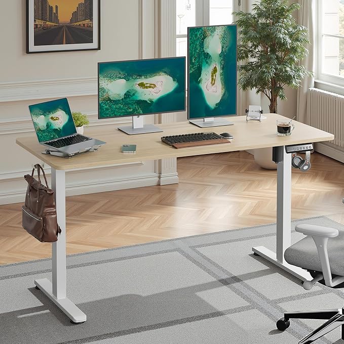 Casaphoria 55 x 24 inches Electric Standing Desk, Sit to Stand Desk with Memory Height Adjustment, Home Office Computer Desk for Writing and Games, Oak