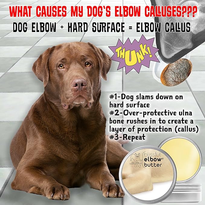 The Blissful Dog Elbow Butter for Dry, Cracked Calluses, Lick-Safe Dog Balm, Soothing Elbow Balm with Moisturizing Shea Butter, Almond, Olive, and Essential Oils, Pet Supplies, 2 oz. Tin