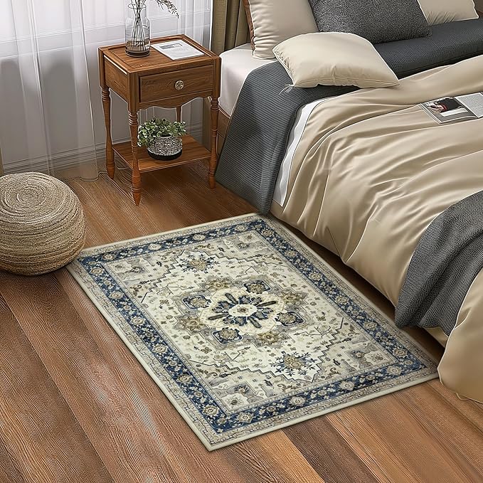 Small Rugs Door Mat 2x3 - Washable Entry Area Rugs Entrance Floor Carpet Non-Slip Door Mat Thin Rug Low-Pile Doormat for Bedroom Kitchen