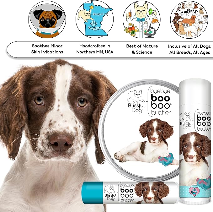 The Blissful Dog Springer Spaniel Boo Butter, 8 oz