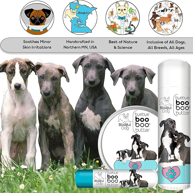 The Blissful Dog Greyhound Boo Boo Butter, 2-Ounce