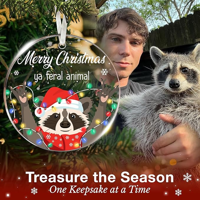 Raccoon Ornaments for Christmas Tree - Unique Raccoon Ornaments for Home, for Raccoon Lovers, Adorable Ornament for Christmas Decoration, Fun Ornament for The Holiday Season