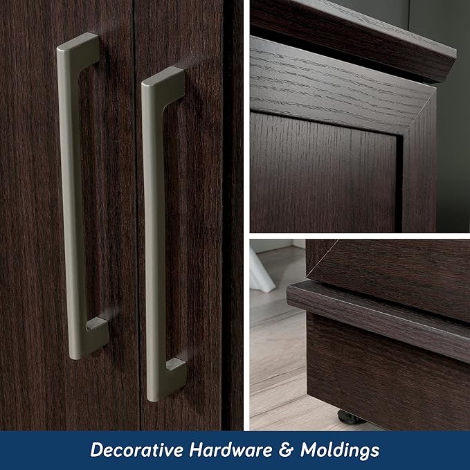 Sauder HomePlus Storage Cabinet/ Pantry cabinets, Dakota Oak finish