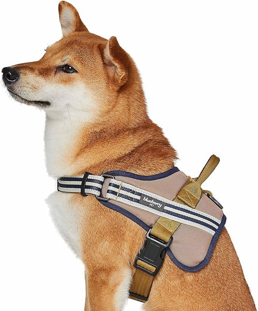 Blueberry Pet Soft 3M Reflective Dog Harness Vest | Mesh Padded No-Pull Harness with Back Clips | Multicolor Stripe in Olive and Blue-Gray| Adjustable for Medium Dogs