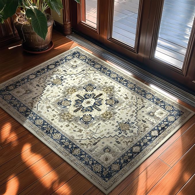 Small Rugs Door Mat 2x3 - Washable Entry Area Rugs Entrance Floor Carpet Non-Slip Door Mat Thin Rug Low-Pile Doormat for Bedroom Kitchen
