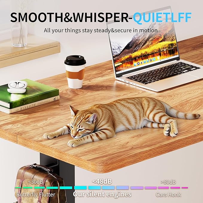 BIZUM Electric Standing Desk, 55x24 inches Height Adjustable Desk, Sit to Stand Desks Memory Gaming Computer Workstation for Home Office, Light Rustic Brown