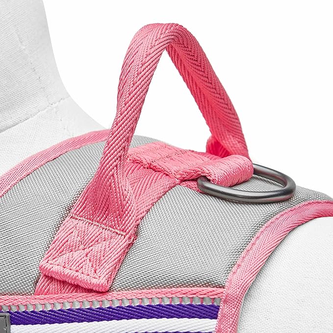 Blueberry Pet Pink Dog Harness - Award Winning Medium Sized No Pull Dog Harness with Handle, Reflective Vest for Safety-Conscious Urban & Outdoor Enthusiasts, 3M Night Visibility