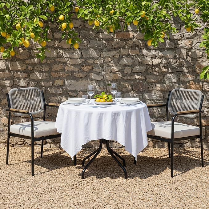 Outdoor Dining Chairs Set of 2, Wicker Patio Dining Chairs with Removable Cushions, Rectangle Patio Table Chair, All Weather Outdoor Chairs, Metal Lawn Chair for Adults/Indoor/Deck, Beige