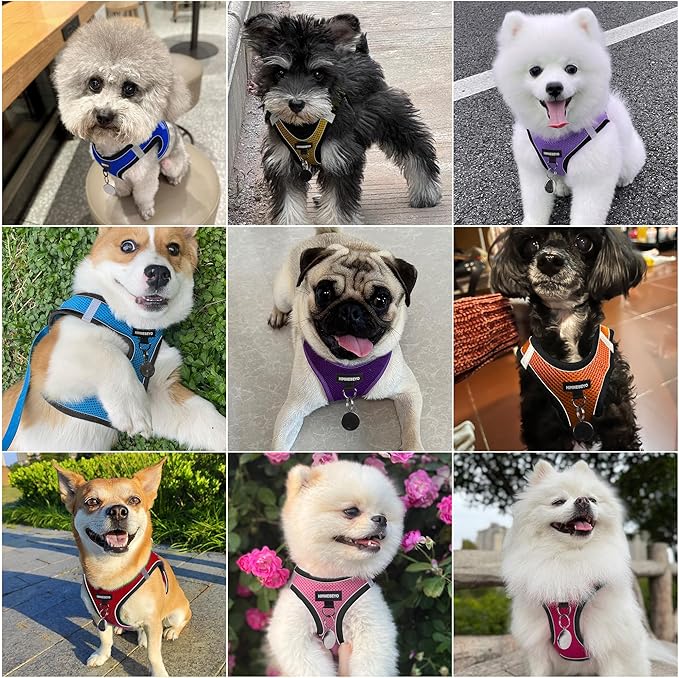 Dog Harness and Leash Set, Dog Harness for Dogs No Pull, No-Chock Step-in Reflective Breathable Lightweight Easy Walk Vest Harnesses with Safety Buckle for Small Medium Dogs, Cats (Purple, XS)