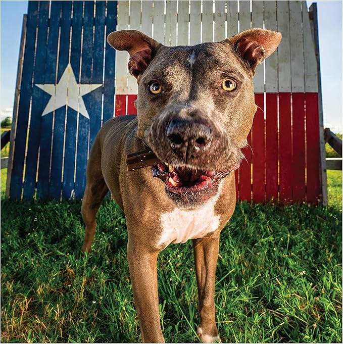 Get Naked Calming Dental Sticks for Dogs – Grain-Free Chicken Flavor, Anxiety Relief with Chamomile, Passion Flower, No CBD, Tartar Control, Gluten-Free – Large Sticks 6.6 oz Bag