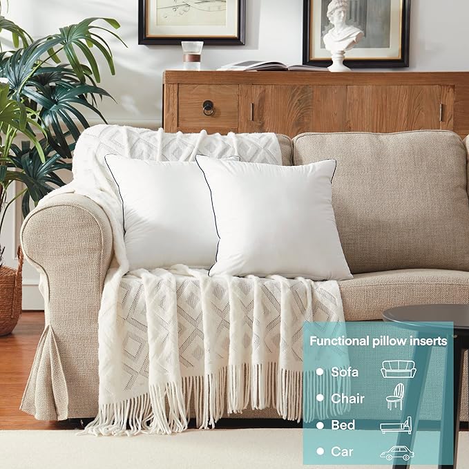 22x22 Inch Pillow Inserts Set of 2-100% Cotton Cover, Square Decorative Throw Pillows for Couch, Sofa, Chair, or Bed (2 Pack, 22x22 Inch)